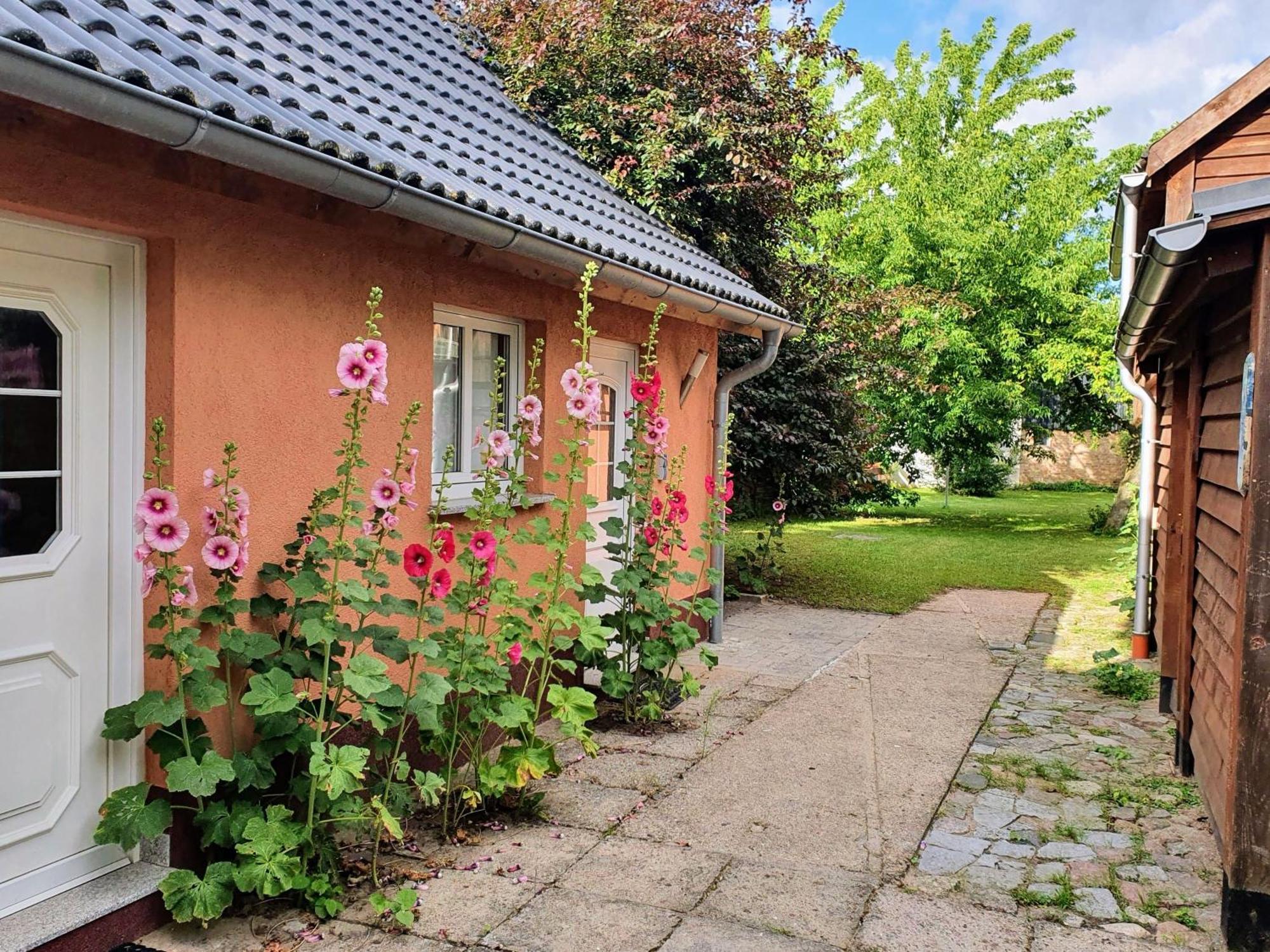Ferienhaus Moewe Hanshagen  Exterior foto